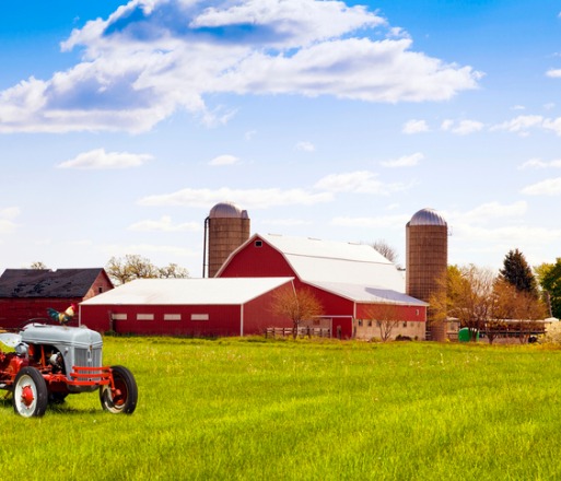 A bright looking farm with Farm & Crop insurance